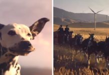 The Budweiser 2019 Super Bowl Clip Features The Clydesdales And One Happy Dog