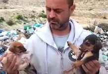 Man Finds 500 Strays, Gives Up His Job And Sells Everything To Care For Them