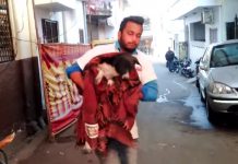 Stray Dog Lay Whimpering In The Streets Wishing For A Better Life