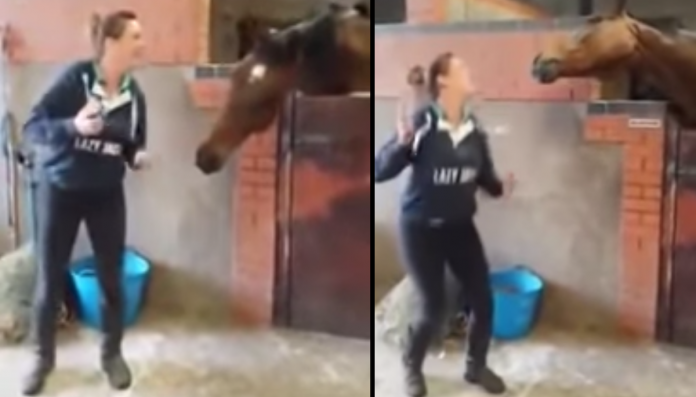 woman-horse-dance