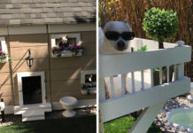 Mom Builds Doggy Mansion In The Backyard For Her 3 Spoiled Pups