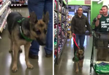Army Veteran Brings Dog To The Pet Store, Gets Awarded A Shopping Spree