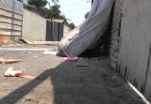 Stray Dog Hid Behind An Old Mattress Just Waiting For Her Life To Change