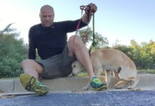 Stray Dog Hides Under Rescuer’s Legs As She’s Too Scared To Trust Anyone