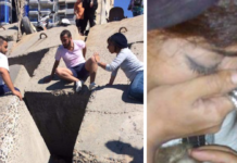 Puppy Had Been Trapped Under Rocks For A Month When Some Heroes Stepped In