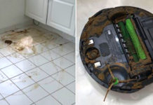 Robot Vacuum Runs On Schedule, Tries To Help Puppy In Potty Training