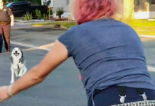 Woman Thought She’d Never See Her Dog Again, Two Years Later He Comes Running