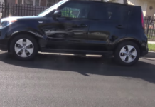 Rescuers Spot Dog Hiding Under Car, Later Find Out Why She Acts The Way She Does