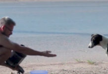 Man Wakes Up At 5AM And Works All Day To Feed The Strays