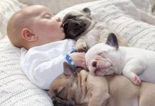 Dog Is Baby’s Best Friend, And Here’s All The Proof Needed