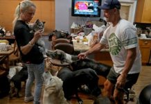 Kind Couple Takes In 46 Pets To Help Families Struggling With Hurricane Irma