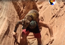 After 6 Months Of No Eye Contact, Dad Figures Out Adopted Dog’s True Passion
