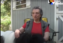 Woman’s Guide Horse Needed Help, And She Was Determined To Do Everything To Save Her