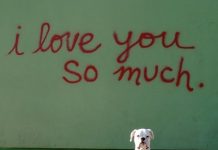 Dog’s ‘goodbye’ Letter To His Owner Will Leave You In Tears