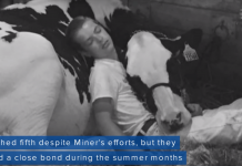 Boy And Cow Lose State Fair Contest But Win The Hearts Of Millions With Their Nap
