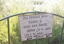 Dog’s Clever Setup Forces People To Stop And Play Fetch With Him