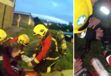 Unconscious Dog Pulled From Smoky Building Is Saved Thanks To New Firefighter Procedure