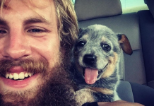 17 Dogs The Moment They First Met Their Humans
