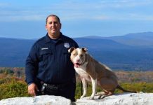 Pit Bull Puppy Found Chained In The Snow, But Cop Has Big Plans In Store For Her