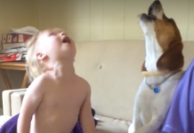 The Things You Learn Growing Up With A Dog