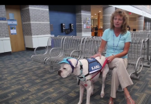 Kid’s Afraid To Tell His Traumatic Story, But Watch When The Dog Gets Down Beside Him