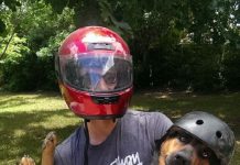 These 15 Pets Were Left With The Sitter, And Now Their Owners Totally Regret It