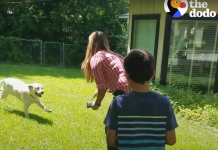 Their Dog Has Been Missing For A Year, And Then Mom Opens The Trunk