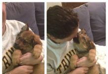 They Just Rescued A Dog From The Shelter, And Its Reaction Is Amazing