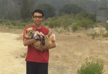 Cross Country Team Comes Up With Great Idea To Get Shelter Dogs Out Of The Kennels