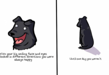 This May Not Look Like Much, But You’ll Be In Tears By The End