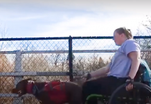 Woman Suffered Terrible Brain Injury, But This Dog Is The Biggest Help