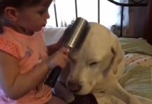 Mom Walks In On Her Little Girl And Dog And Catches The Moment On Camera