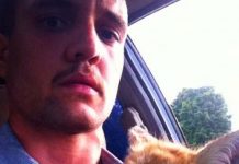 Man Sees A Dead Fox Lying In The Street — But When He Returns, His Heartbreak Begins To Fade