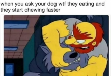 20 Hilarious Dog Memes That Will Have You Busting A Gut