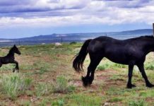 These 27 Mamas With Their Babies Are Guaranteed To Melt Your Heart