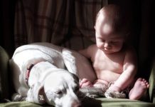 Abused Dog Was Afraid Of Everything But This Baby, So Mom Grabbed The Camera