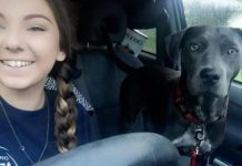 Student Asks Professor About Bringing Dog To Class Before Hurricane, His Answer Is Perfect