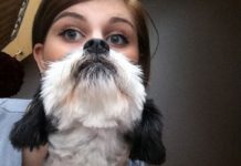 These 24 Perfectly Timed Photos Of Dogs Will Have You In Stitches