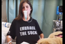 His Owner Is Chronically Ill, But Harlow Takes Being A Service Dog To Another Level