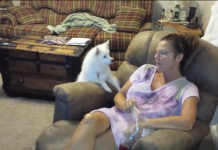 Dog Wants To Go To Bed, But Mom Wants To Stay Up And Watch Movies