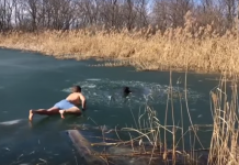 Man Makes Daring Attempt To Rescue Dog Who Fell In Frozen Lake