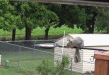 Man Tries To ‘Squirrel Proof’ The Bird Feeder, But The Result Is Hilarious