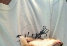 Pets Try To Fit In The Darndest Places, And These 25 Photos Are Proof