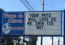 These 13 Signs Prove That Vets Have A Great Sense Of Humor